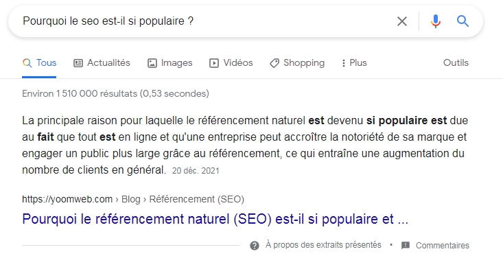 seo pour les journalistes extraits enrichis